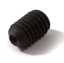 Locking Screw
